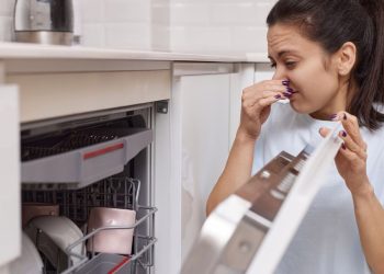 Bulaşık makinesindeki kötü kokuyu gideren profesyonellerin kullandığı püf noktası