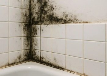 Duvarlardaki küf lekelerini hızlı ve kolay temizlemenin yolu