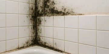 Duvarlardaki küf lekelerini hızlı ve kolay temizlemenin yolu