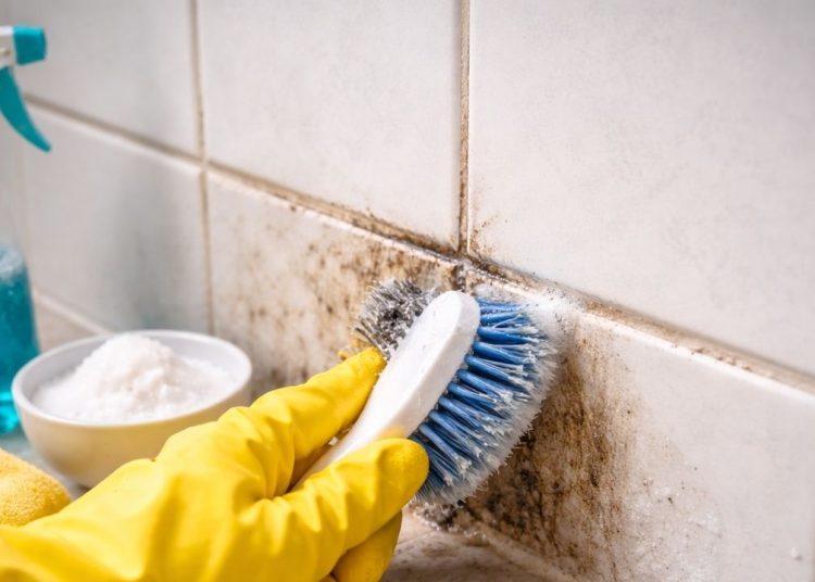 Fayans derzlerindeki küf ve kiri 10 dakikada yok eden 4 ürün