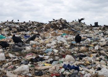 Milyarlarca liralık sabit disk kazayla çöpe atıldı