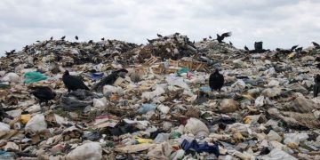 Milyarlarca liralık sabit disk kazayla çöpe atıldı