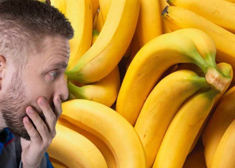 Muz alırken yapılan kritik hata: Görürseniz sakın almayın