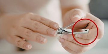 Tırnak makasındaki küçük deliğin gerçek amacı ortaya çıktı