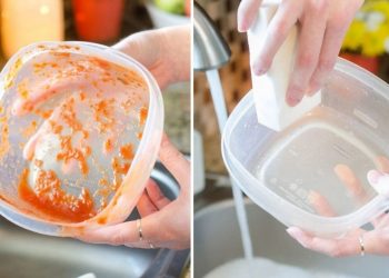 Yiyecek kapları yıkandıktan sonra neden kokar: Kokuyu tamamen gideren yöntem